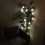 Apartman Mentha *